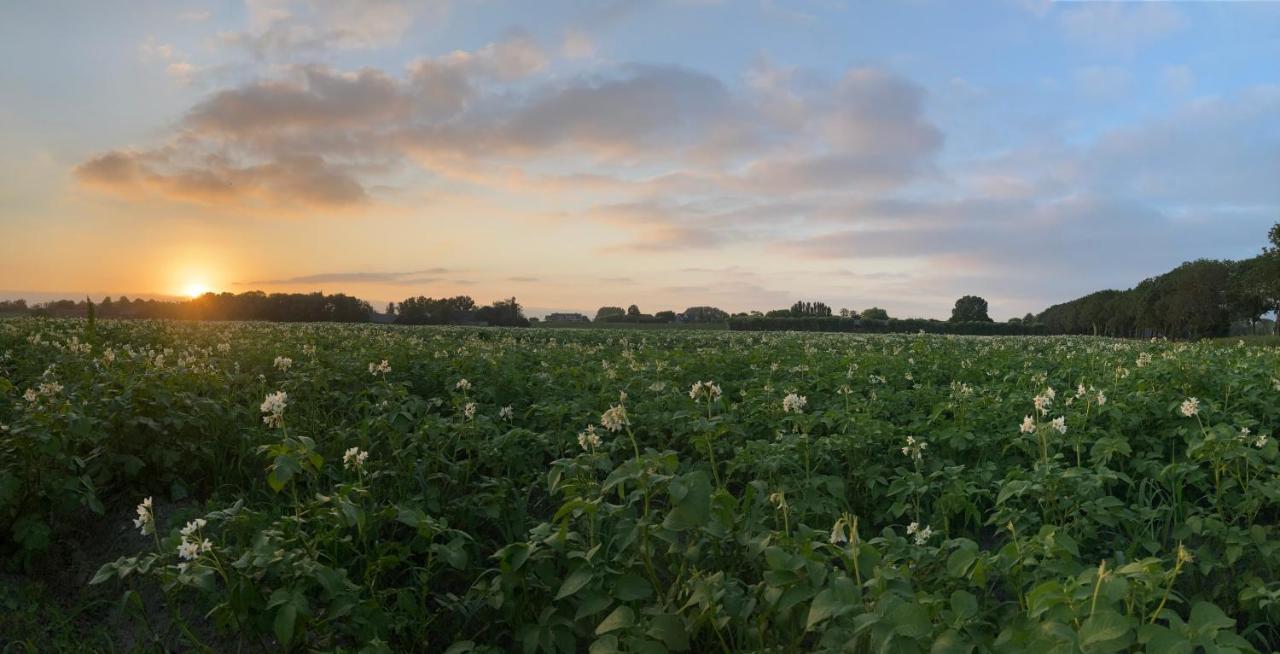 Polderhoek Woubrugge Dış mekan fotoğraf